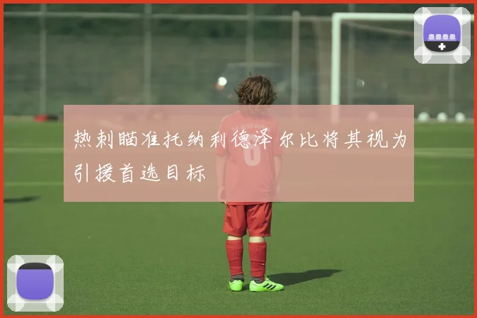 热刺瞄准托纳利德泽尔比将其视为引援首选目标